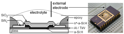 DNA chip